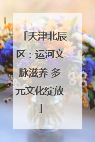 天津北辰区：运河文脉滋养 多元文化绽放